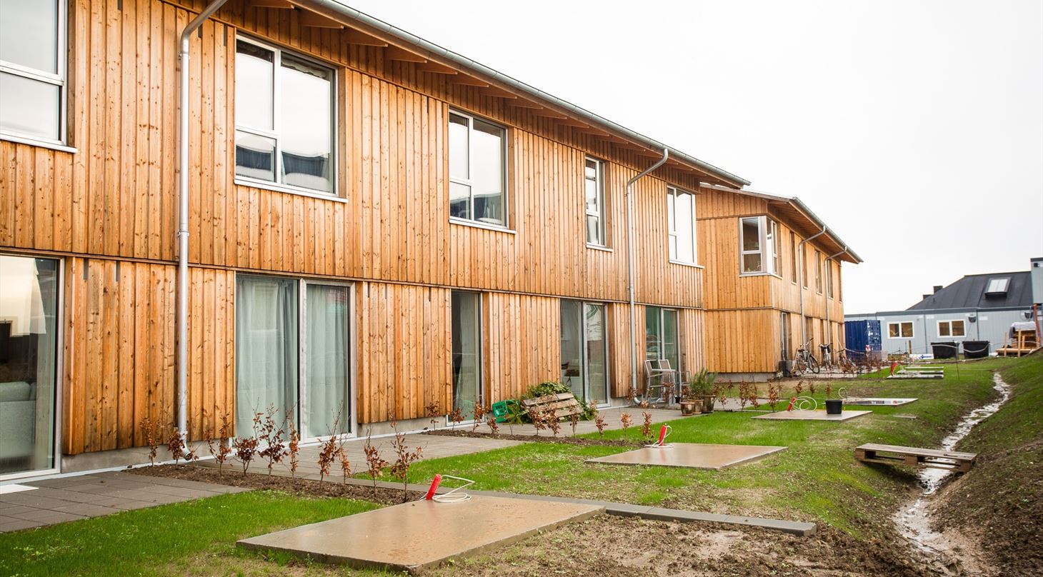 Tr�byggeri - Skademosen i Trekroner